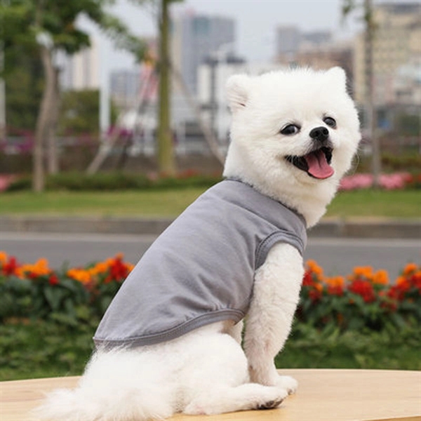 Dog Cotton Vest Coat In Summer - Dog Cotton Vest Coat In Summer - Image 7 of 7