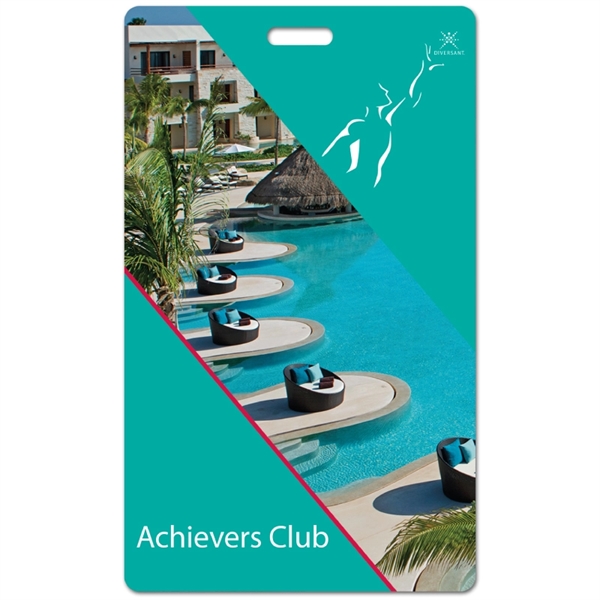 Luggage Tag Paneled Back For Writing, Large - Luggage Tag Paneled Back For Writing, Large - Image 0 of 1