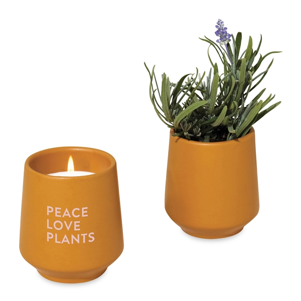 Modern Sprout® Rooted Candle - Modern Sprout® Rooted Candle - Image 12 of 18