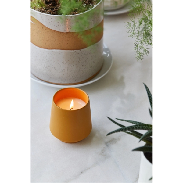 Modern Sprout® Rooted Candle - Modern Sprout® Rooted Candle - Image 17 of 18