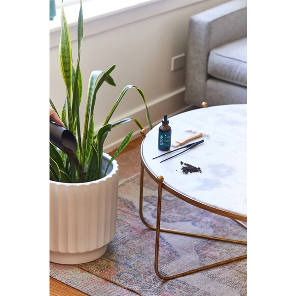Modern Sprout® Plant Parent Care Kit - Modern Sprout® Plant Parent Care Kit - Image 9 of 10