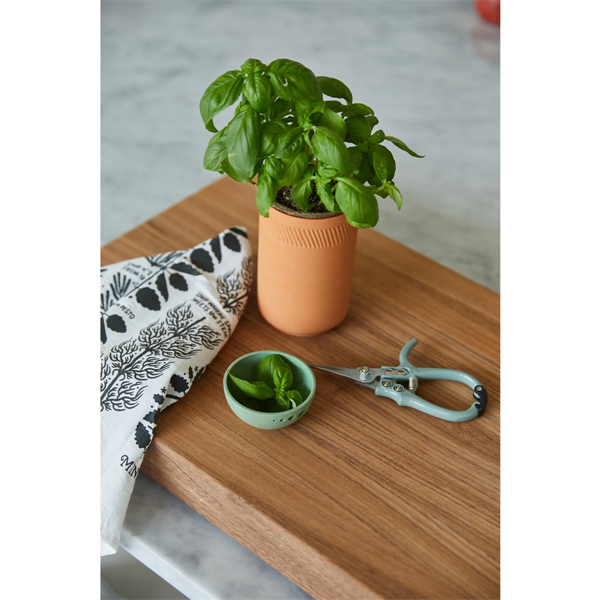 Modern Sprout® Growing Gourmet Gift Set - Modern Sprout® Growing Gourmet Gift Set - Image 3 of 4