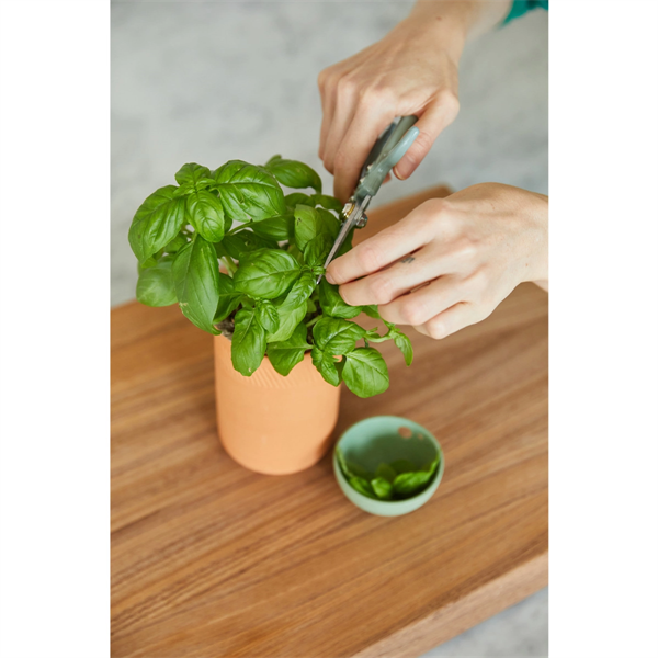 Modern Sprout® Growing Gourmet Gift Set - Modern Sprout® Growing Gourmet Gift Set - Image 4 of 4