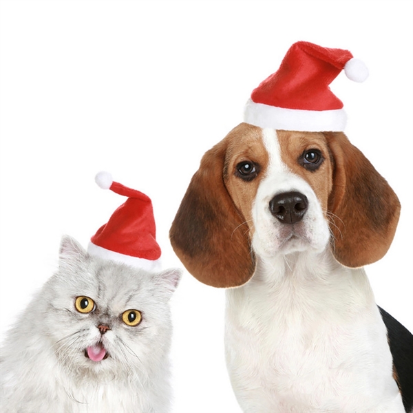 Pet Christmas Santa Hat - Pet Christmas Santa Hat - Image 1 of 3