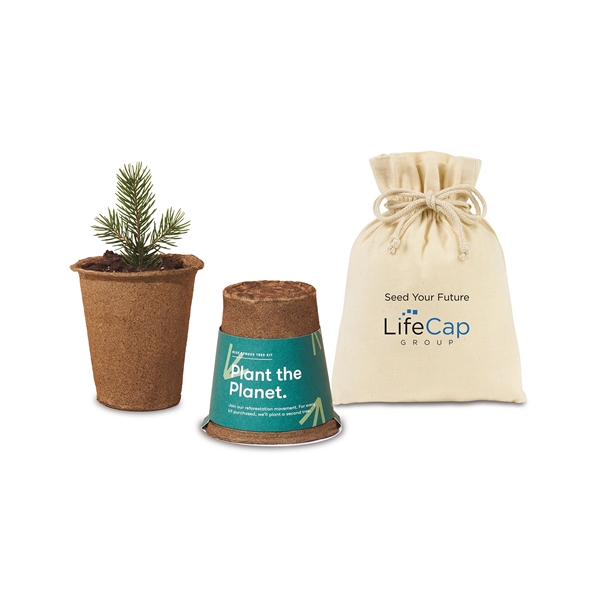 Modern Sprout® One For One Tree Kits - Modern Sprout® One For One Tree Kits - Image 2 of 7