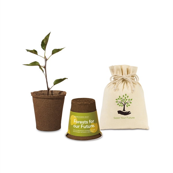 Modern Sprout® One For One Tree Kits - Modern Sprout® One For One Tree Kits - Image 3 of 7