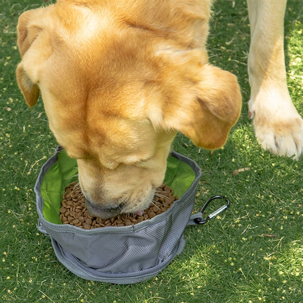 Portable Outdoor Collapsible Dog Bowls - Portable Outdoor Collapsible Dog Bowls - Image 1 of 8