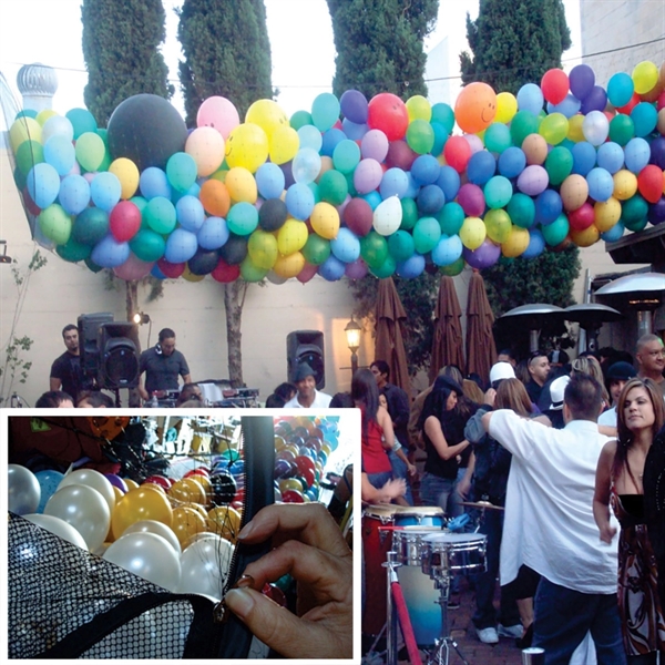 Balloon Drop Kit - 1000 Balloons - Balloon Drop Kit - 1000 Balloons - Image 0 of 0