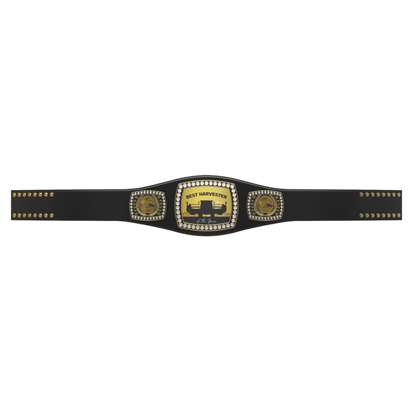 Express Legend Championship Belt - Express Legend Championship Belt - Image 3 of 23