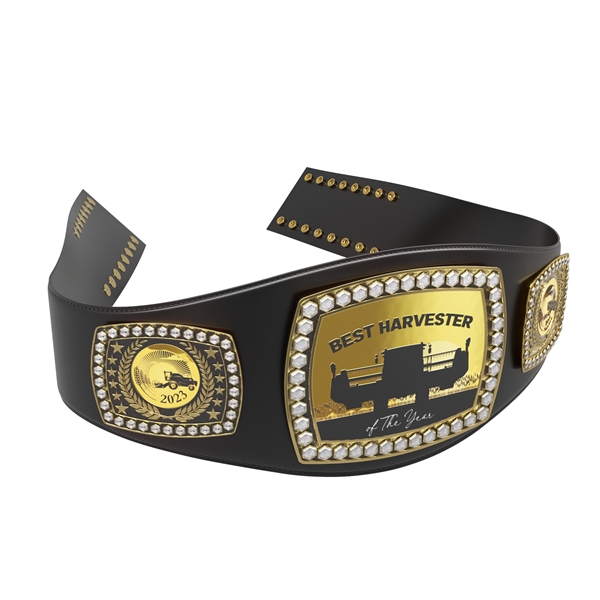Express Legend Championship Belt - Express Legend Championship Belt - Image 2 of 23