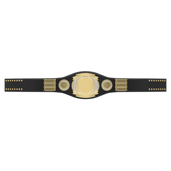 Express Vibraprint® Perpetual Champion Award Belt- Mixed - Express Vibraprint® Perpetual Champion Award Belt- Mixed - Image 8 of 16