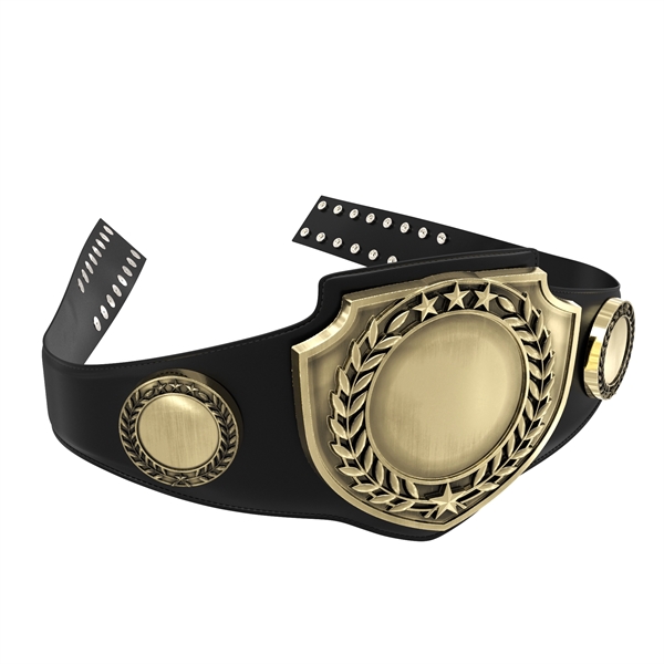 Vibraprint® Antique Gold Championship Shield Award Belt - Vibraprint® Antique Gold Championship Shield Award Belt - Image 17 of 24