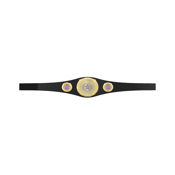 Express Lightweight Championship Belt - Center & Side Plates - Express Lightweight Championship Belt - Center & Side Plates - Image 12 of 19