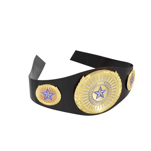 Express Lightweight Championship Belt - Center & Side Plates - Express Lightweight Championship Belt - Center & Side Plates - Image 13 of 19