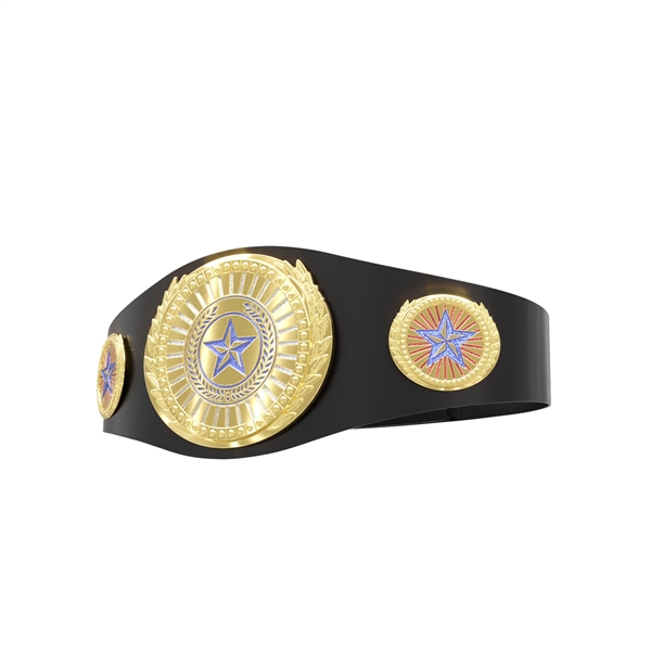 Express Lightweight Championship Belt - Center & Side Plates - Express Lightweight Championship Belt - Center & Side Plates - Image 14 of 19