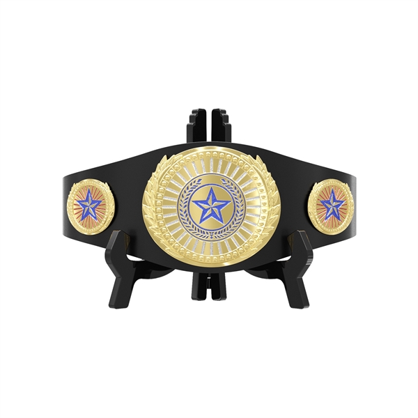 Express Lightweight Championship Belt - Center & Side Plates - Express Lightweight Championship Belt - Center & Side Plates - Image 19 of 19