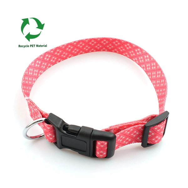 5/8"x12" rPET Sublimation Pet Collar w/ Buckle Release - 5/8"x12" rPET Sublimation Pet Collar w/ Buckle Release - Image 0 of 5