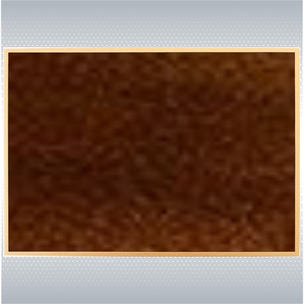 Bronze Plaque 20"x16" - Bronze Plaque 20"x16" - Image 1 of 2