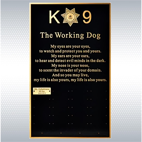 Bronze Plaque 24"x36" - Bronze Plaque 24"x36" - Image 1 of 3