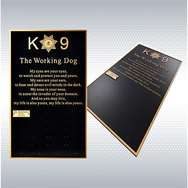 Bronze Plaque 24"x36" - Bronze Plaque 24"x36" - Image 0 of 3
