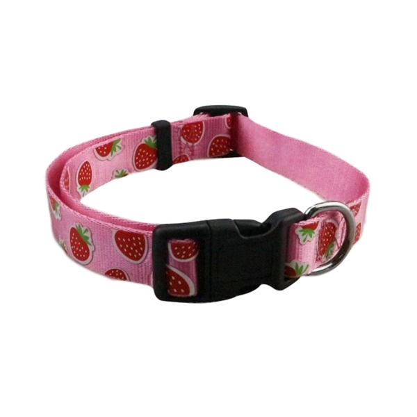 5/8"Wx12"L Heavy-duty Polyester Pet Collar w/ Buckle Release - 5/8"Wx12"L Heavy-duty Polyester Pet Collar w/ Buckle Release - Image 0 of 0