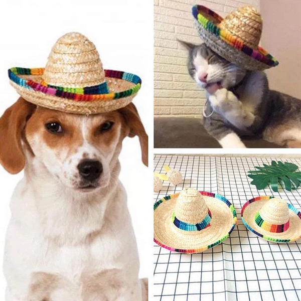 Mini Straw Sombrero Costume Hat - Mini Straw Sombrero Costume Hat - Image 2 of 4