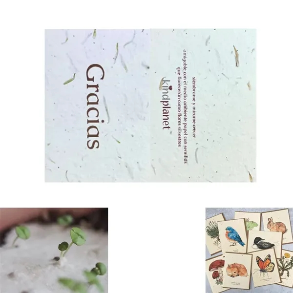 Seed Paper Card - Seed Paper Card - Image 0 of 1