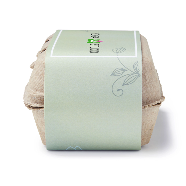 Zen Garden Grow Kit - Zen Garden Grow Kit - Image 3 of 4
