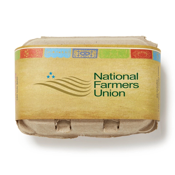 Mexican Seed Herb Grow Garden Kit - Mexican Seed Herb Grow Garden Kit - Image 3 of 4