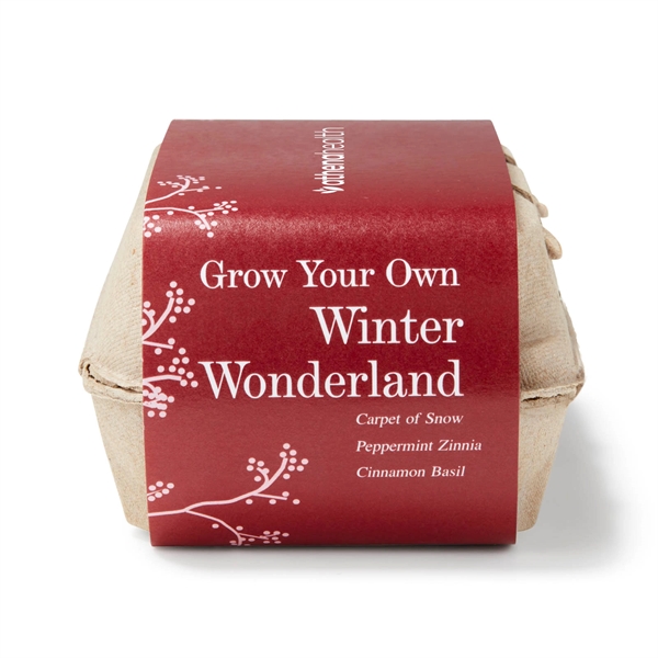 Winter Wonderland Seed Grow Garden Kit - Winter Wonderland Seed Grow Garden Kit - Image 3 of 4