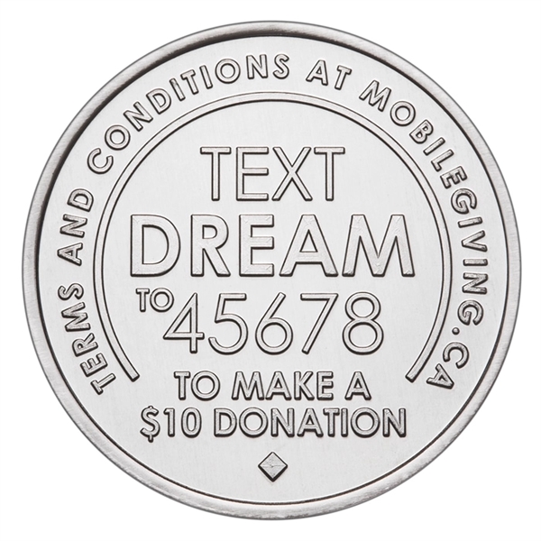 Aluminum coin - natural silver color - Aluminum coin - natural silver color - Image 13 of 29