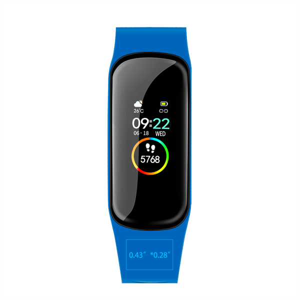 Patek Fitness Tracker - Patek Fitness Tracker - Image 14 of 15