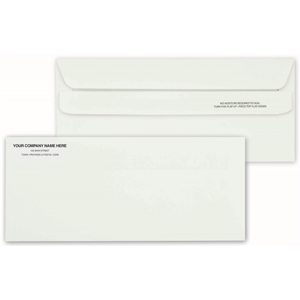 No. 10 Business Envelope, Self Seal - No. 10 Business Envelope, Self Seal - Image 0 of 0