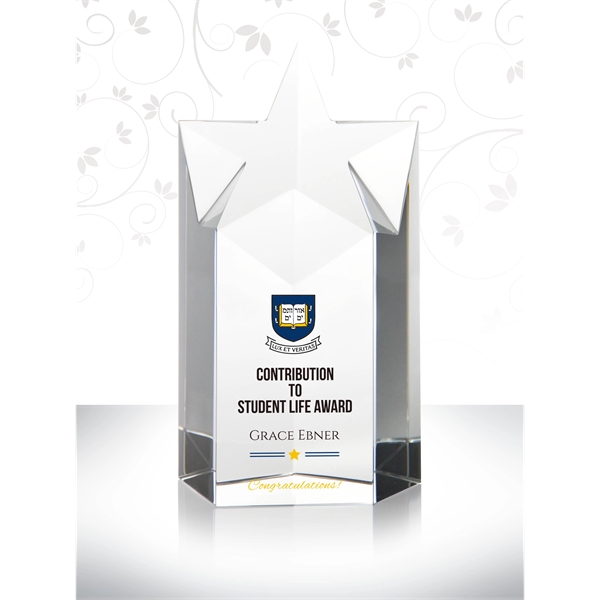 Emerging Star Crystal Trophy - Emerging Star Crystal Trophy - Image 0 of 1