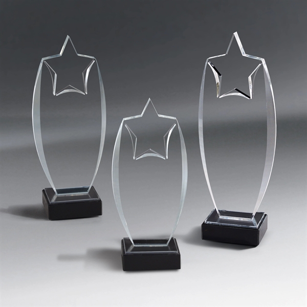 Acrylic Rising Star Award
