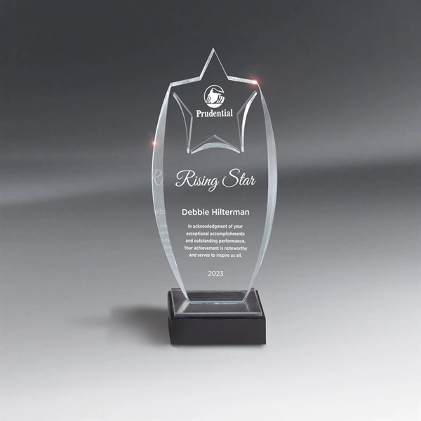 Acrylic Rising Star Award