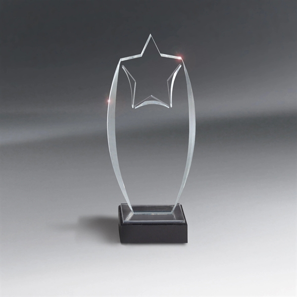 Acrylic Rising Star Award