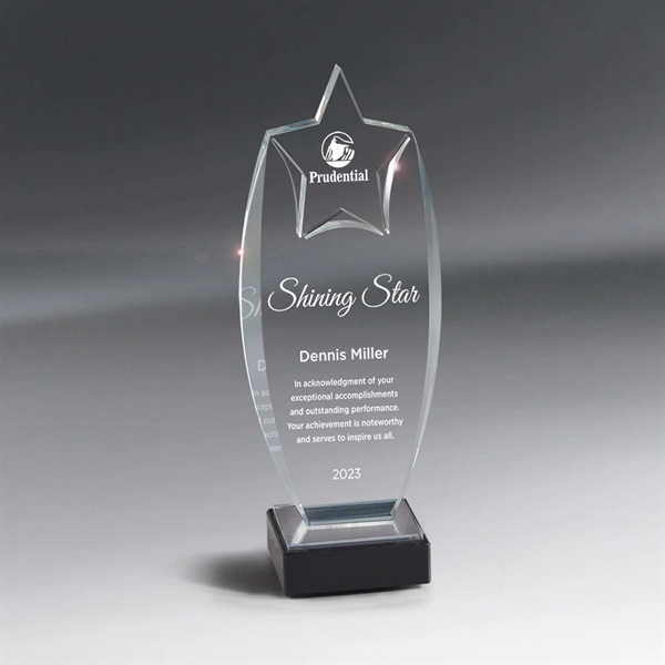 Acrylic Rising Star Award