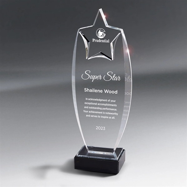 Acrylic Rising Star Award