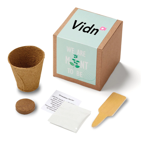 Inspirational Mint to Be Growable Seed Planter Kit - Inspirational Mint to Be Growable Seed Planter Kit - Image 0 of 1
