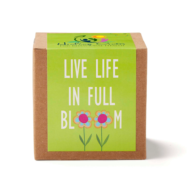 Inspirational Live Life Growable Seed Planter Kit - Inspirational Live Life Growable Seed Planter Kit - Image 1 of 1