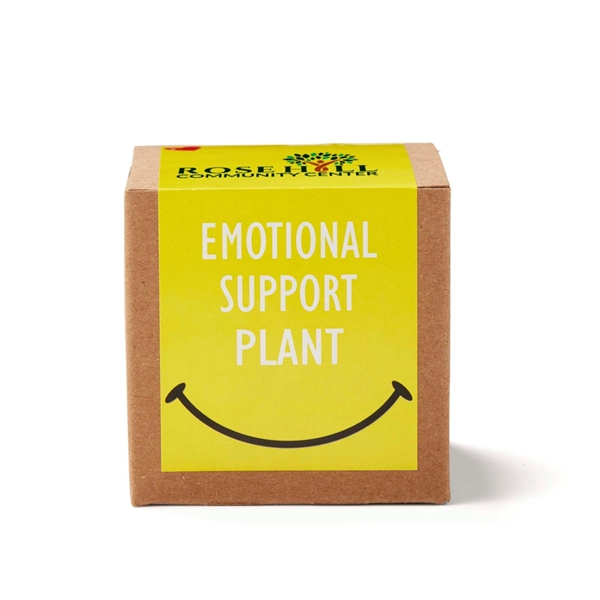 Inspirational Emotional Support Growable Seed Planter Kit - Inspirational Emotional Support Growable Seed Planter Kit - Image 1 of 1