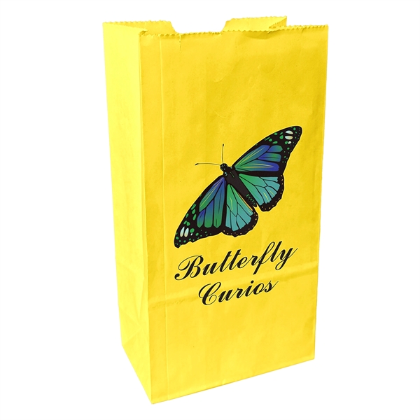 Popcorn Specialty Bag - ColorVista