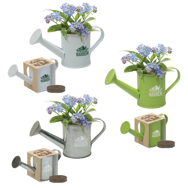 Mini Watering Can Blossom Kit - Mini Watering Can Blossom Kit - Image 0 of 6