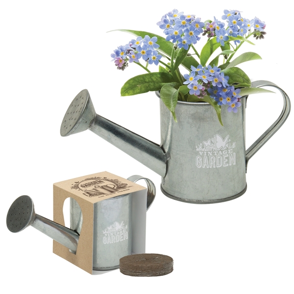 Mini Watering Can Blossom Kit - Mini Watering Can Blossom Kit - Image 2 of 6