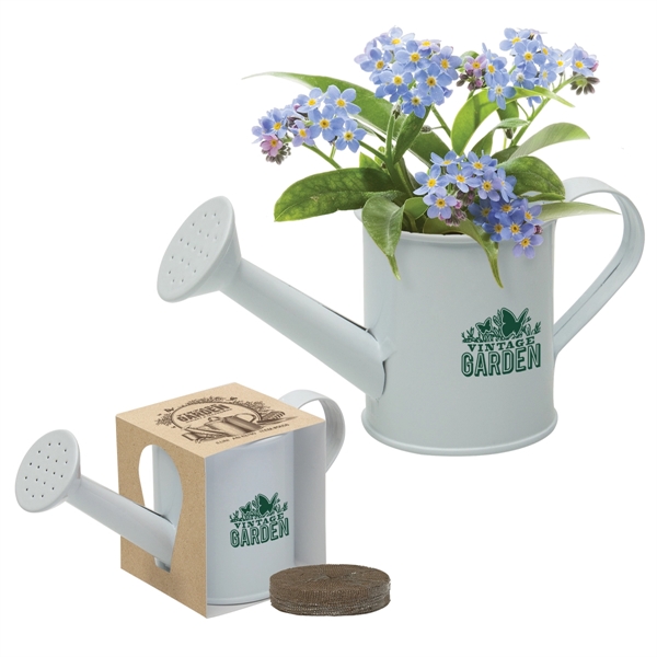 Mini Watering Can Blossom Kit - Mini Watering Can Blossom Kit - Image 3 of 6