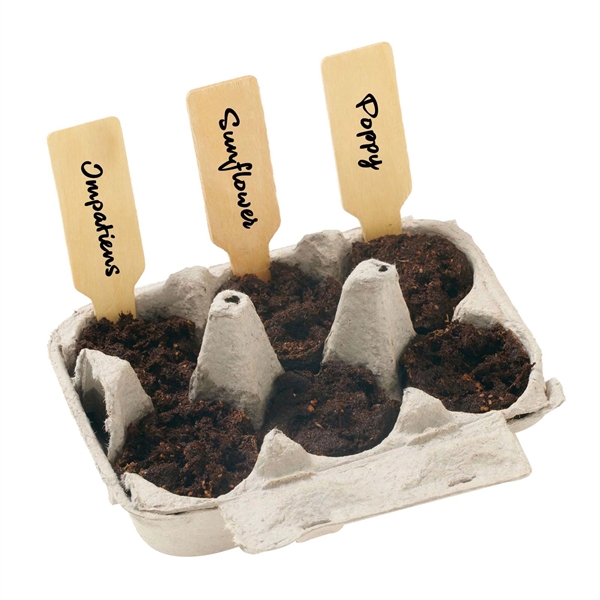 Yellow Grow your own Garden of Hope Seed Kit - Yellow Grow your own Garden of Hope Seed Kit - Image 4 of 4