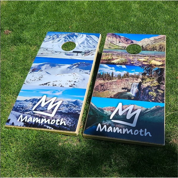 Wood Cornhole Boards (48" x 24") - Custom - Wood Cornhole Boards (48" x 24") - Custom - Image 0 of 7