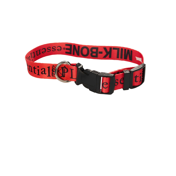 Leashes & Collars