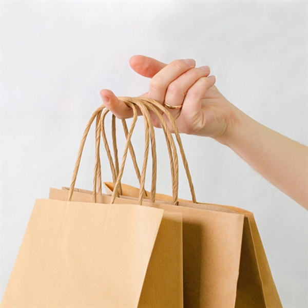 Portable Gift Paper Bags - Portable Gift Paper Bags - Image 4 of 4